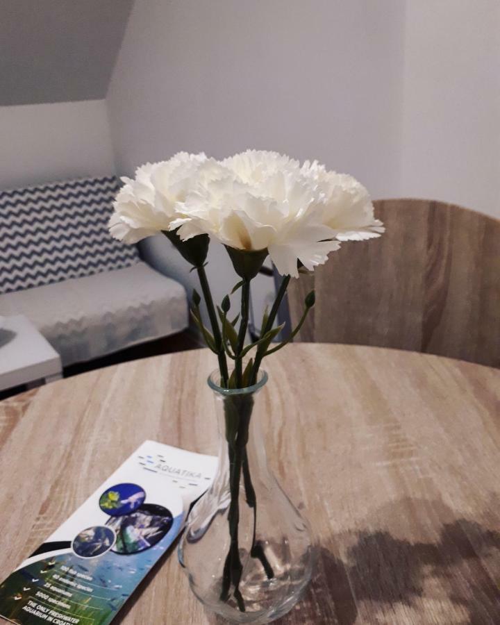 Apartman Lena Tusilovic Екстериор снимка