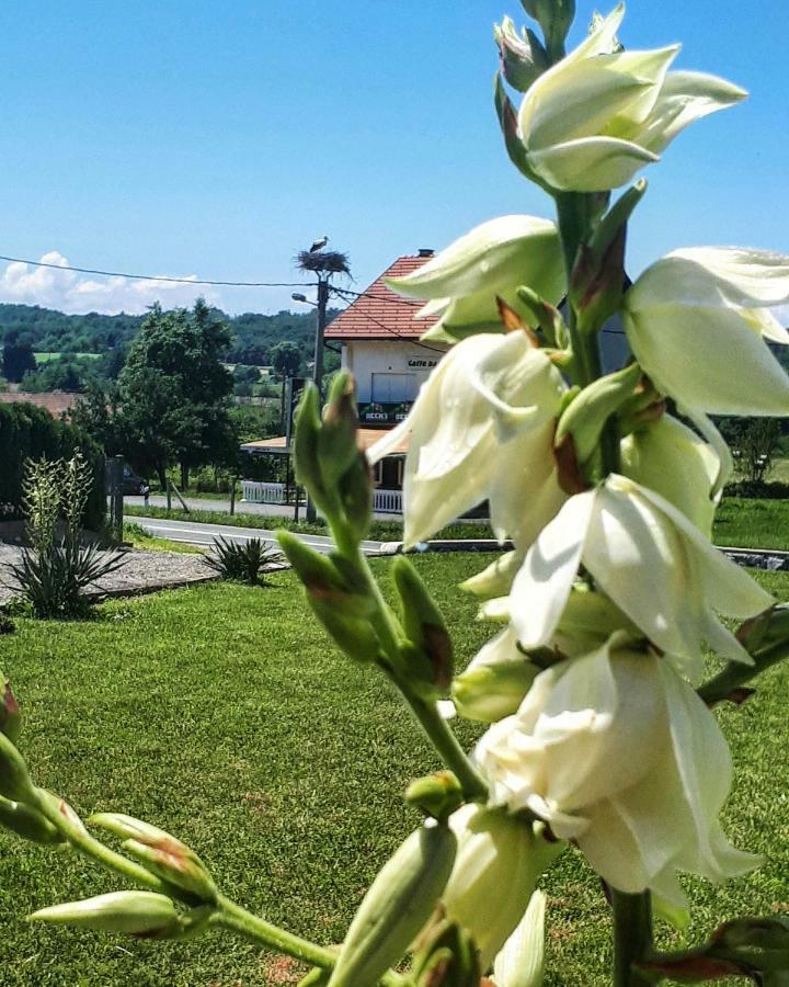 Apartman Lena Tusilovic Екстериор снимка